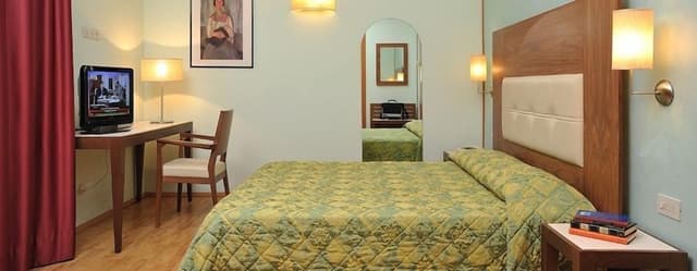 Standard Double Room Single Use (Matrimoniale)