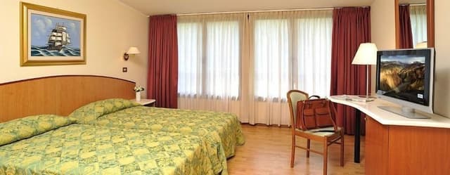 Standard Double Room Single Use (Matrimoniale)