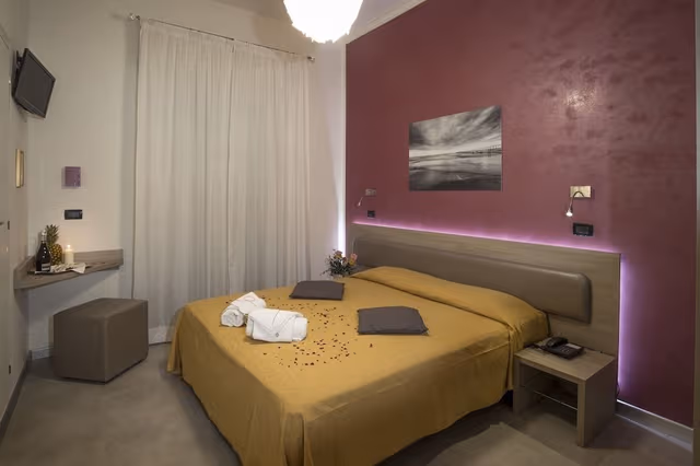 Superior Double or Twin Room