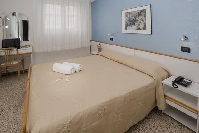 Basic Double or Twin Room