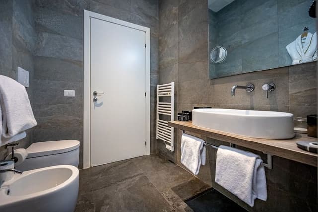 Deluxe Double or Twin Room, River View
