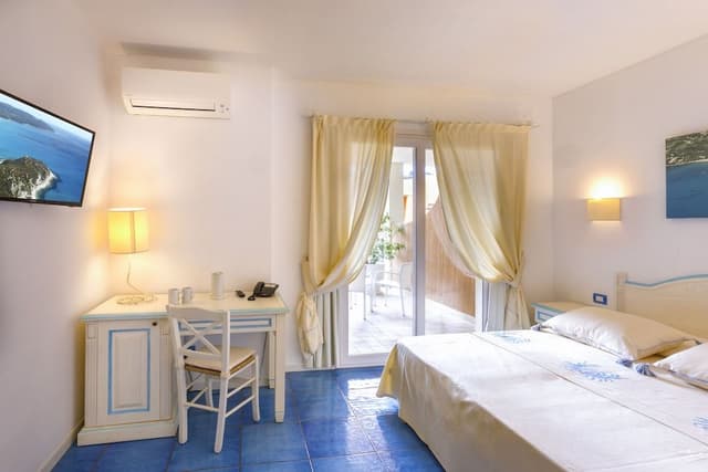 Superior Deluxe Double or Twin Room