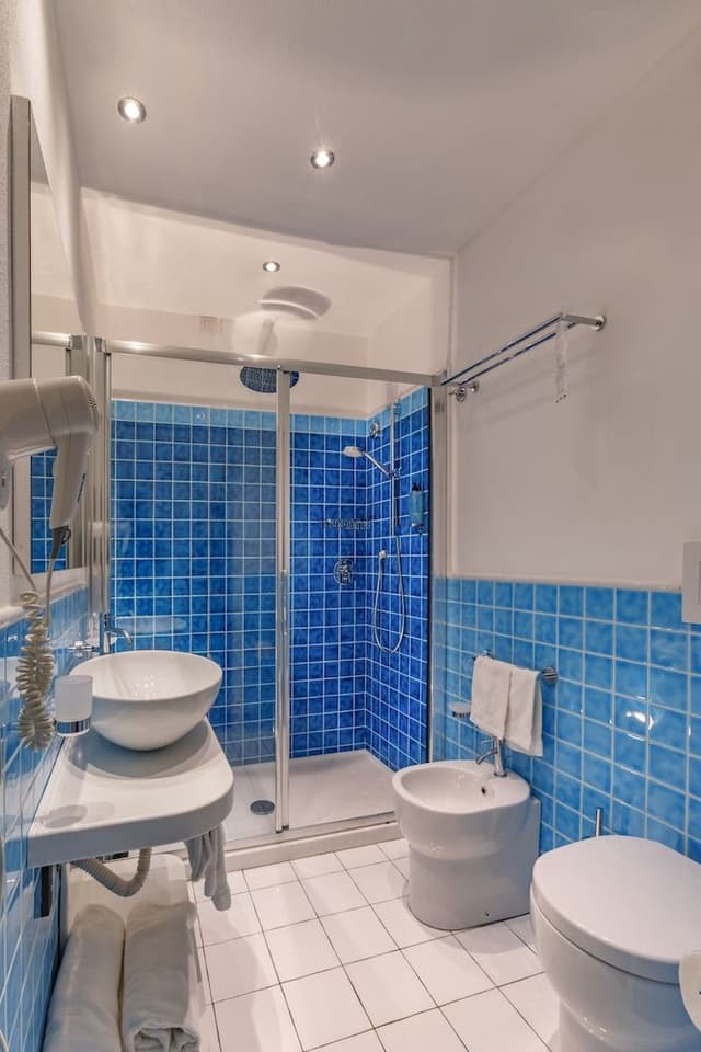 Superior Deluxe Double or Twin Room