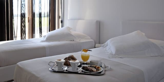 Superior Double or Twin Room