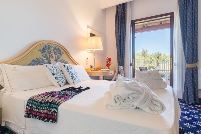Superior Double or Twin Room