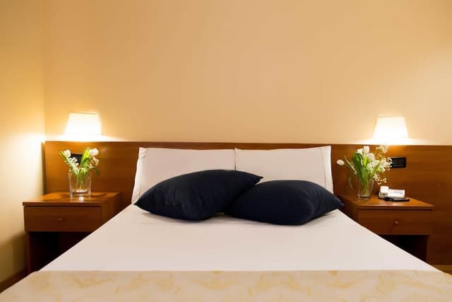 Double Room Single Use