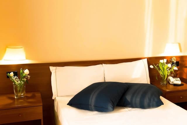 Double Room Single Use