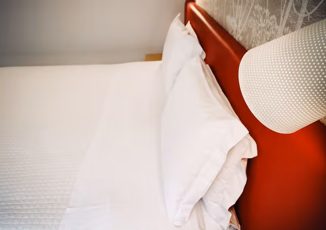 Deluxe Double or Twin Room, Garden View, Tower