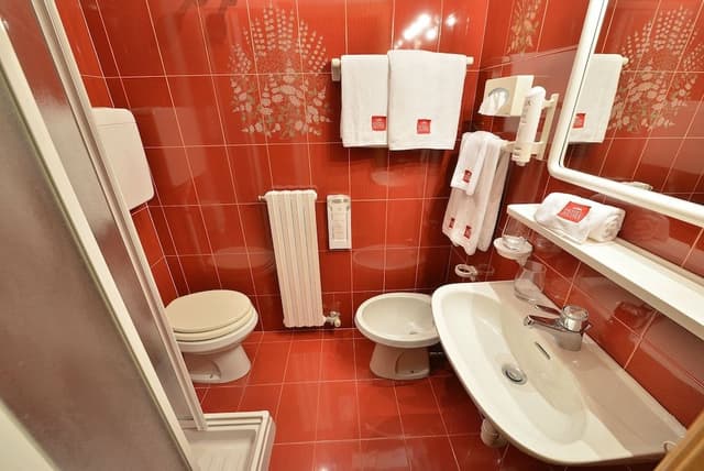 Basic Double Room