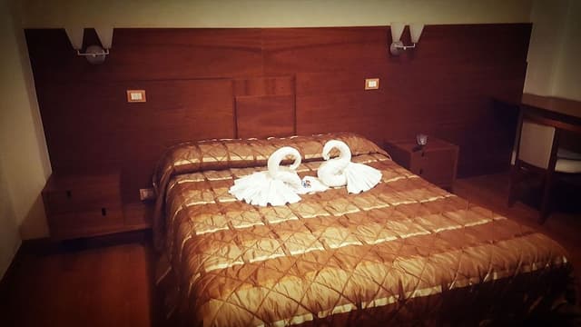 Double Room Single Use