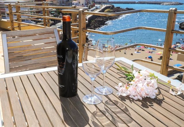 Junior Suite, Terrace, Sea View