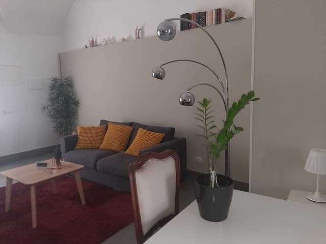 Luxury Studio Suite