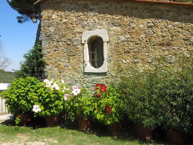 Apartment, Garden View