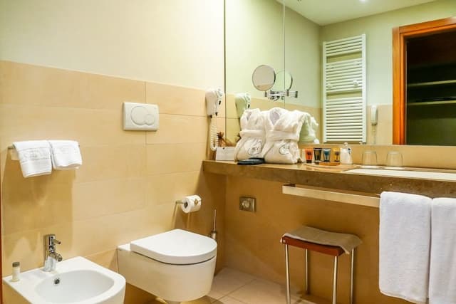 Double Room, Lake View (drinks not included)