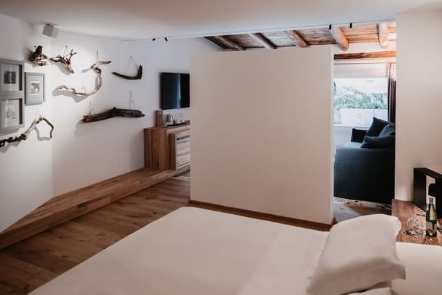 Superior Suite, 1 Queen Bed