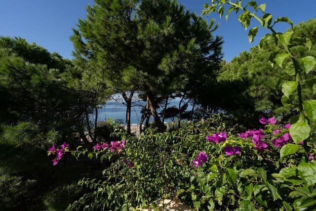 Romantic Suite, Sea View