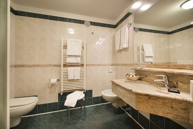 Classic Double Room Single Use