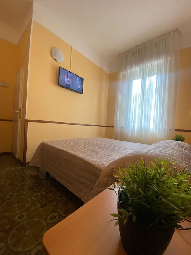 Economy Double or Twin Room, 1 Double Bed