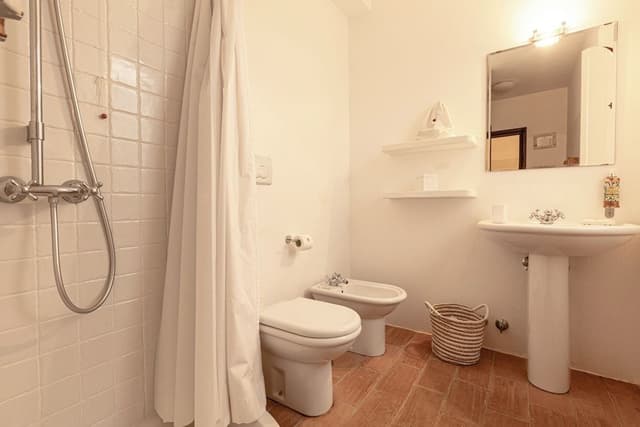Standard Suite, Accessible