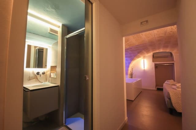 Luxury Double Room (basement)