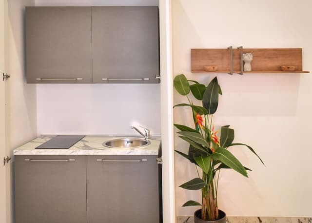 Deluxe Apartment, 1 Bedroom, Annex Building