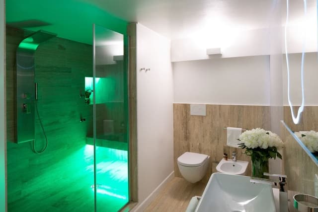 Junior Suite (Wellness)