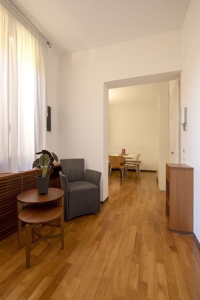 Classic Apartment (2 - 4 People)
