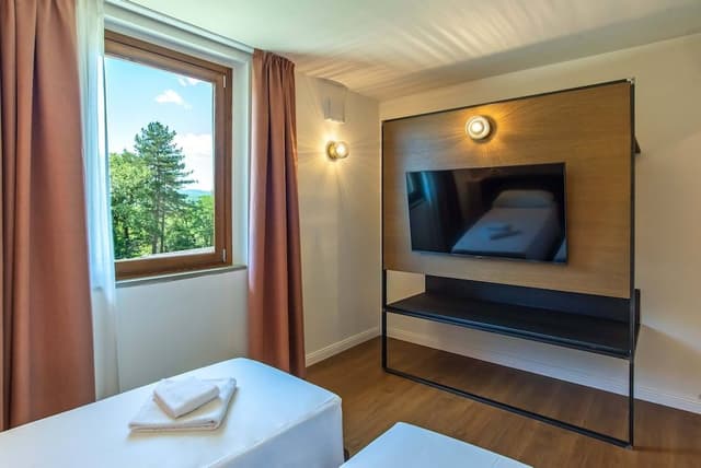 Classic Double or Twin Room
