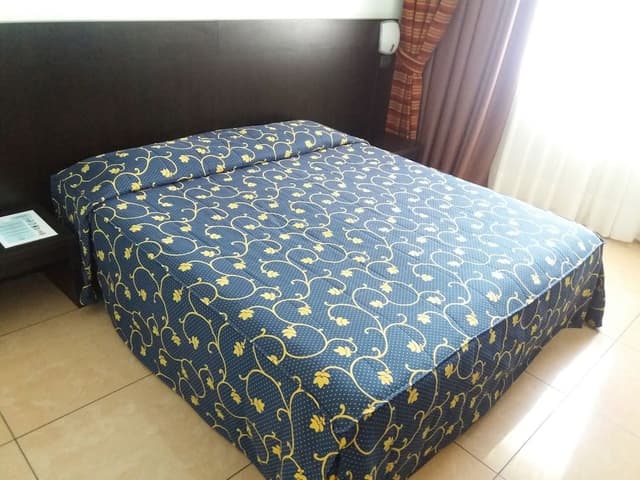 Standard Double Room Single Use