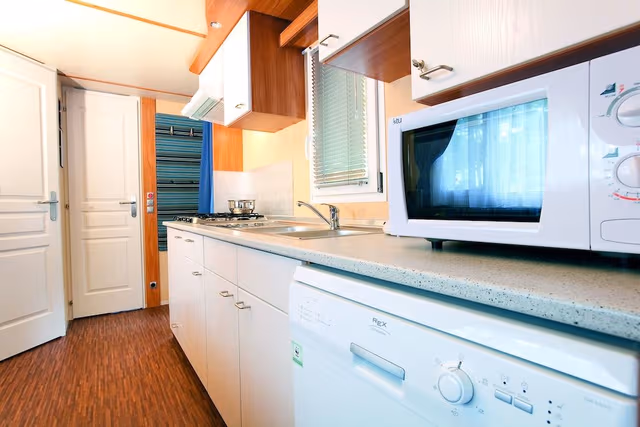 Deluxe Mobile Home