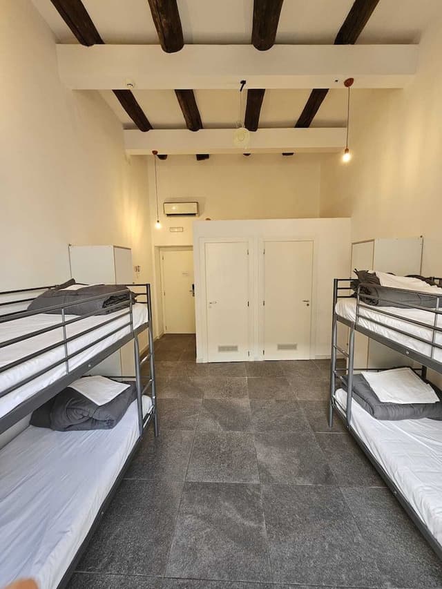 Shared Dormitory, Mixed Dorm, Ensuite (4 beds)