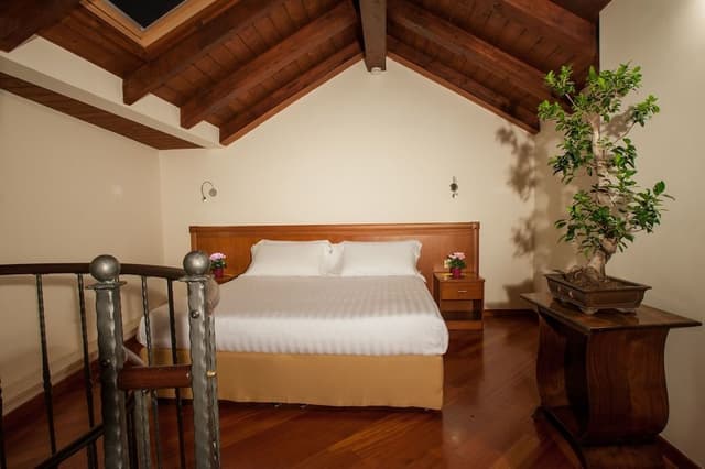 Suite, Terrace