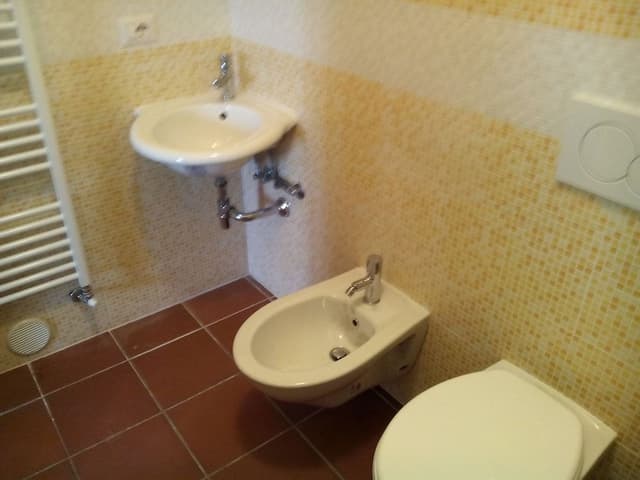 Family Suite (Michelangelo)