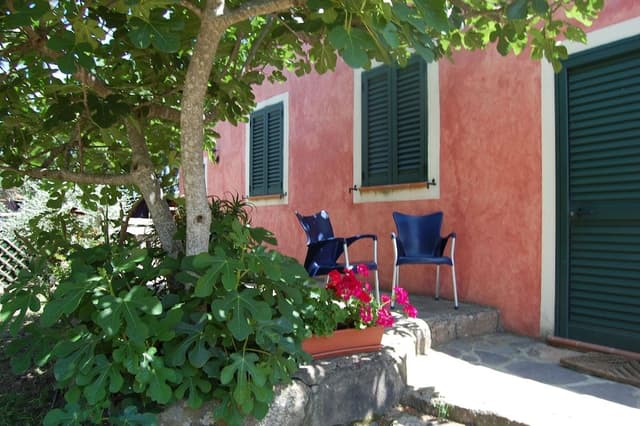 Double Room, Garden View