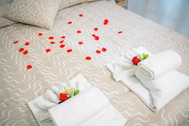 Basic Double or Twin Room