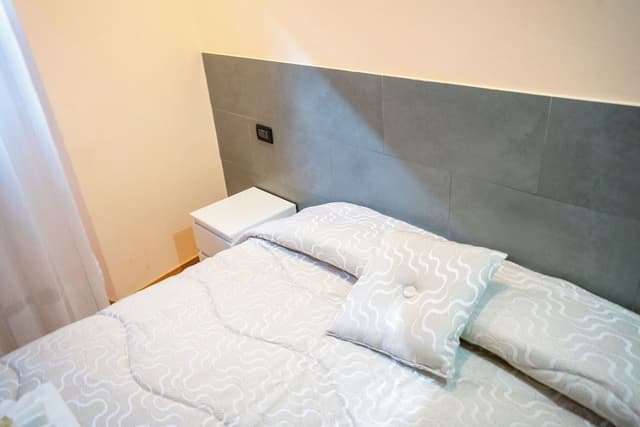 Basic Double or Twin Room