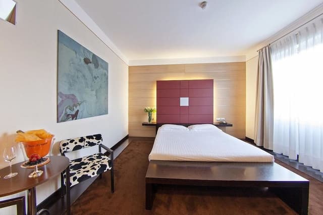 Double Room Single Use