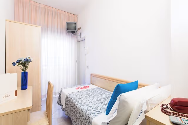 Classic Single Room