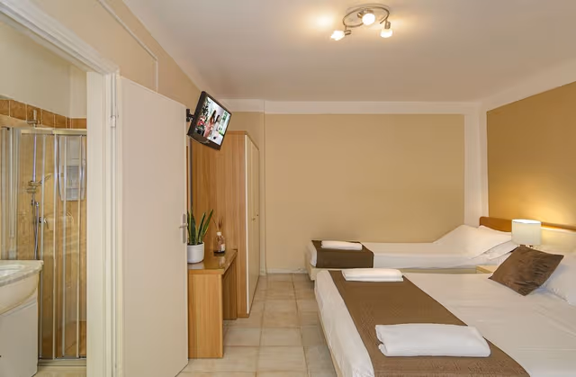 Basic Triple Room, Courtyard View