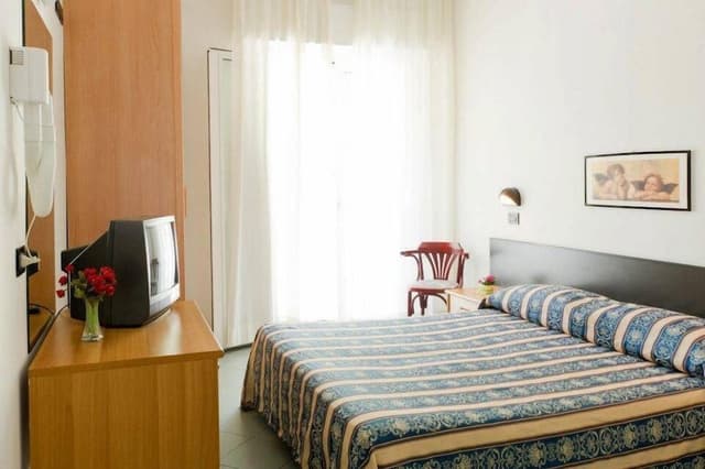 Double Room Single Use
