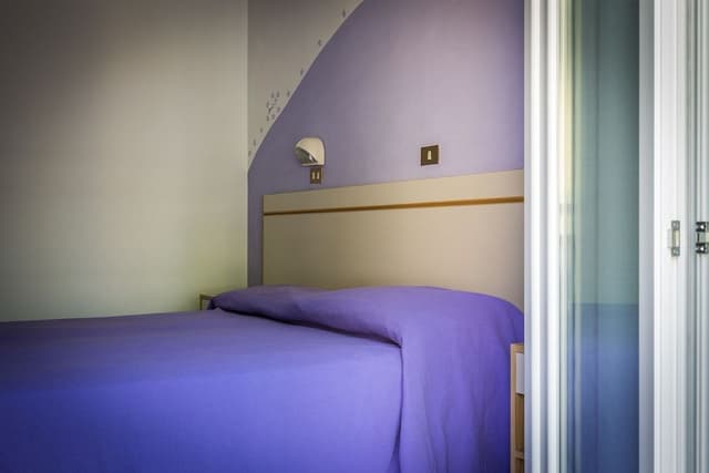 Basic Double Room
