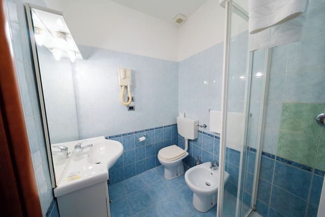 Single Room, 1 Queen Bed