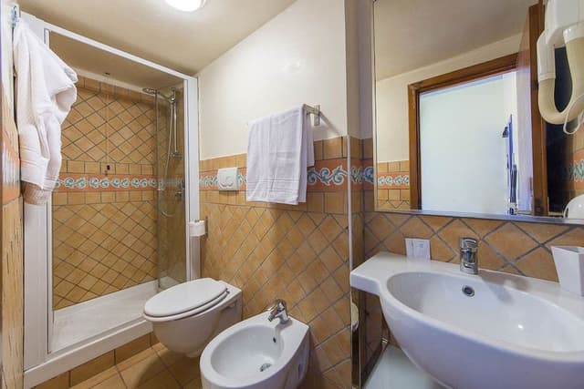 Standard Double or Twin Room