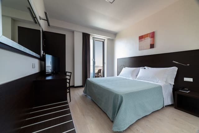 Classic Double Room Single Use