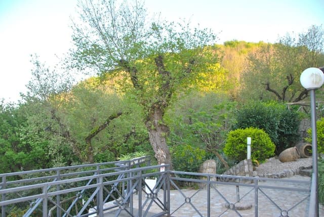 Panoramic Villa