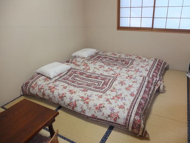 Traditional Twin Room