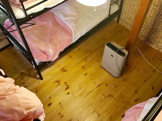 Bunk Bed in Female Dormitory Room, Shared Bathroom