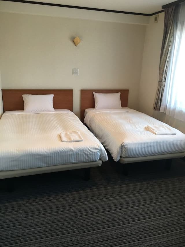 Deluxe Twin Room, Smoking (Cleaning is Optional with Additional Cost)