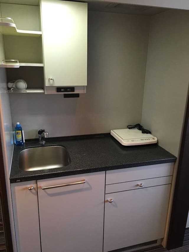 Superior Twin Room, Smoking (Cleaning is Optional with Additional Cost)