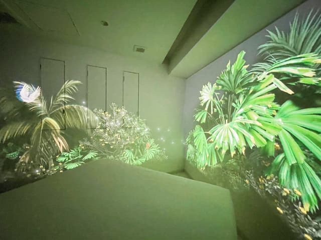 Exclusive 3D Projection Mapping Room (1st Floor)